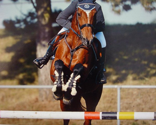jumper Katinka (Holsteiner, 1995, from Lord Calypso)