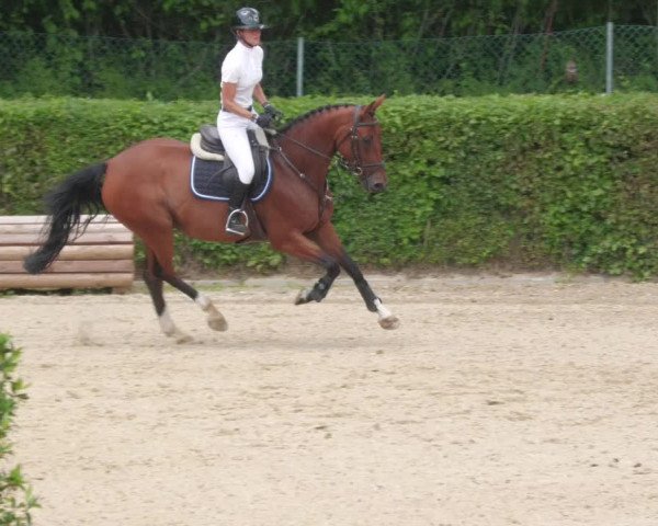 Reitturnier Böblingen 2022