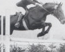 horse Markus (Oldenburg, 1963, from Manolete xx)