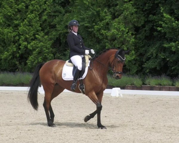 Reitturnier Lindlar - Reitanlage Dückers 2022