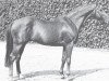 stallion Lucius xx (Thoroughbred, 1959, from Antonio Canale xx)