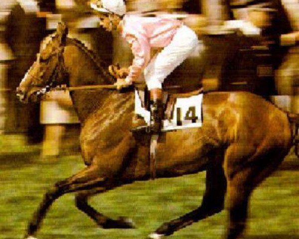 stallion Nonoalco xx (Thoroughbred, 1971, from Nearctic xx)