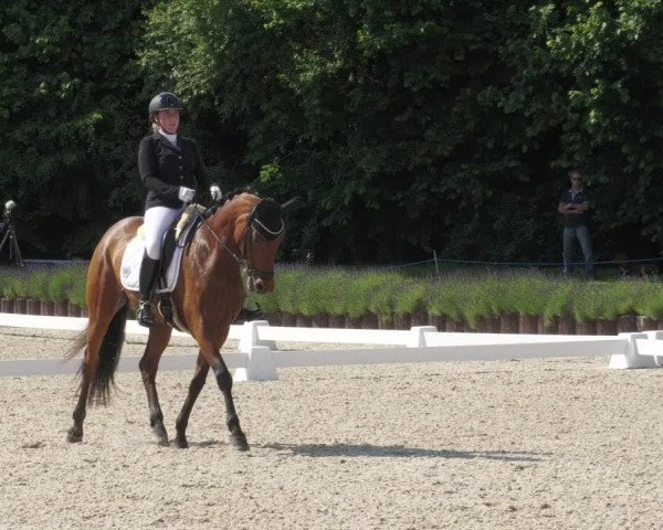 Reitturnier Lindlar - Reitanlage Dückers 2022