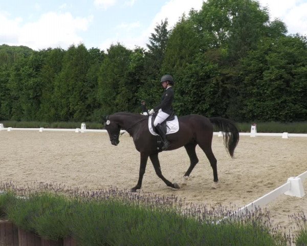 Reitturnier Lindlar - Reitanlage Dückers 2022