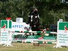 jumper Deichhof's Hambadoon (Hanoverian, 2005, from His Highness)