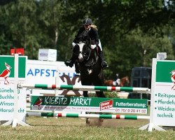 jumper Deichhof's Hambadoon (Hanoverian, 2005, from His Highness)