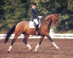 dressage horse Camacho 5 (Holsteiner, 2001, from Cambridge)