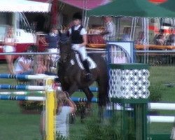 dressage horse Harry 137 (Oldenburg, 2000, from Helikon xx)