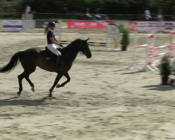 Reitturnier Ascheberg 2022