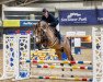 Springpferd Second Million van het Schaeck (Belgisches Warmblut, 2018, von Plot Blue)