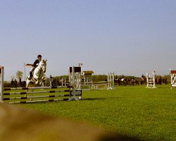 Pferd Zick Zack (Deutsches Reitpony, 1994, von Zaid ben Raswan ox)