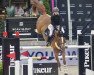 jumper Easy Girl de Kreisker (Luxembourg horse, 2014, from Vigo Cécé)