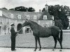 stallion Le Tyrol xx (Thoroughbred, 1948, from Verso II xx)