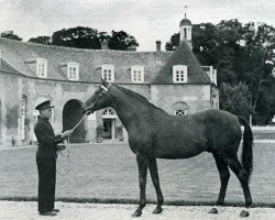 stallion Le Tyrol xx (Thoroughbred, 1948, from Verso II xx)