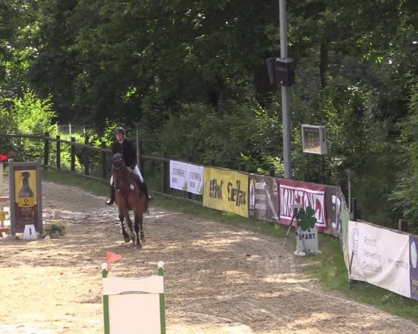 Reitturnier Reken 2022