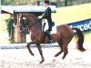 stallion Werther's Wels (Hanoverian, 1991, from Werther)