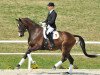 dressage horse Dr. Mac Dreamy (Bavarian, 2007, from Danone II)