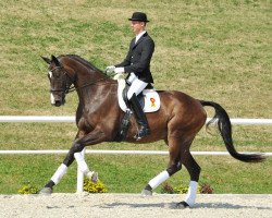 dressage horse Dr. Mac Dreamy (Bavarian, 2007, from Danone II)