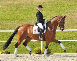 broodmare Dottoressa K (Württemberger, 2005, from Dr. Jackson D)