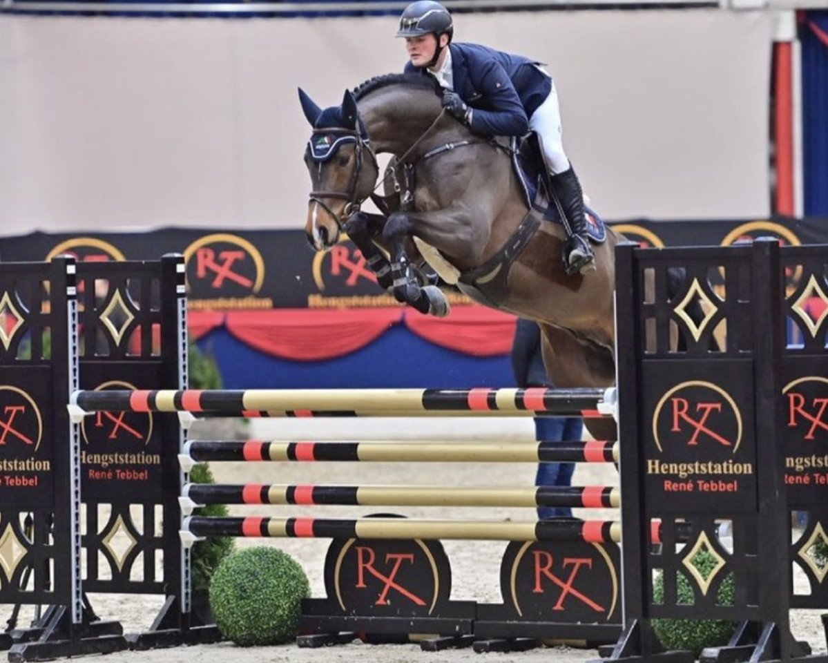 stallion Sandro Junior (Holsteiner, 2015, from Sandro Boy)