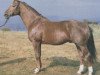 stallion Fugger (Hanoverian, 1966, from Frustra II)