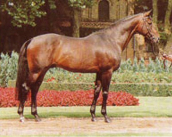 stallion Playmate xx (Thoroughbred, 1986, from Homing xx)