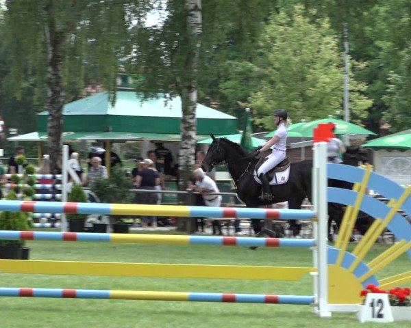 Reitturnier Hille 2022