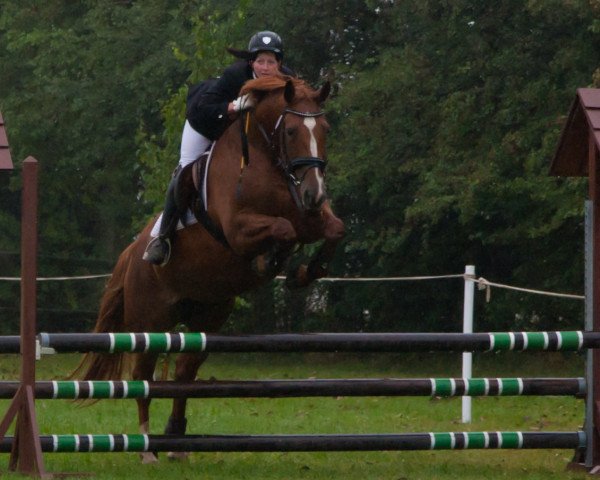 broodmare Eyla (German Sport Horse, 2006, from Harlem Go)