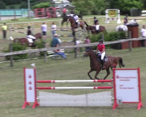 Reitturnier Wingerode 2022