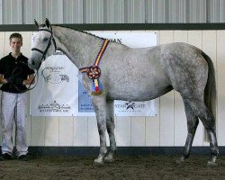 broodmare Rexana (Holsteiner, 2001, from Lansing)