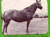 Zuchtstute Leo Pan (Quarter Horse, 1950, von Leo)
