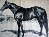 stallion Verso II xx (Thoroughbred, 1940, from Pinceau xx)