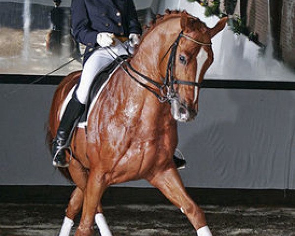 stallion Welser (Hanoverian, 1995, from Wolkenstein II)