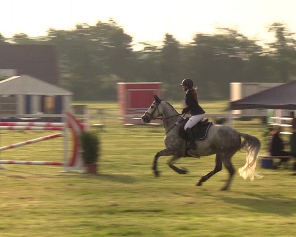 Reitturnier Rendsburg 2022