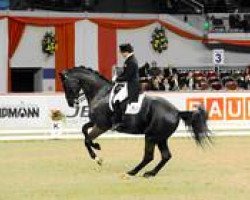 dressage horse Ullrichequine's Whizzkid (Oldenburg, 1997, from Welt Hit II)