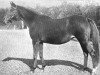 horse Perdita II xx (Thoroughbred, 1881, from Hampton xx)