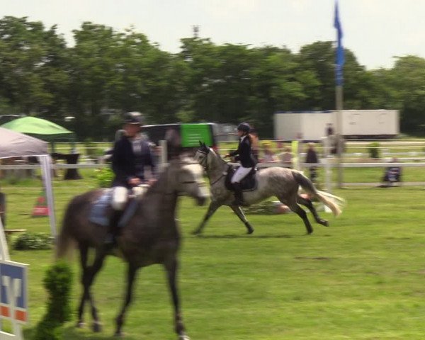Reitturnier Rendsburg 2022