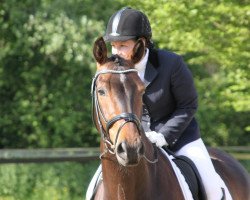 dressage horse Figaro 244 (Westphalian, 2005, from Fürst Piccolo)