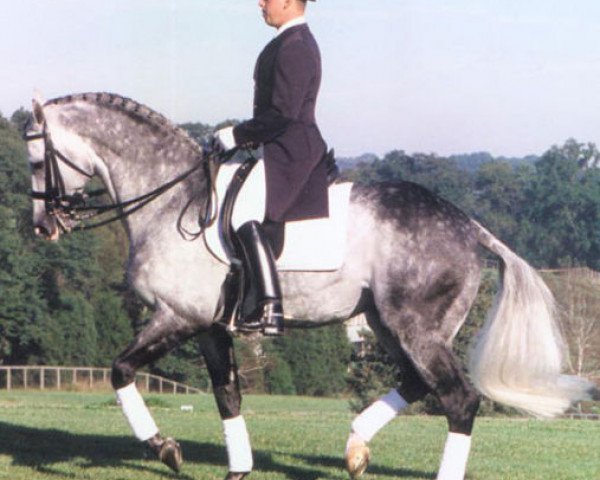 stallion Riverman (Holsteiner, 1990, from Redfort)