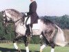 stallion Riverman (Holsteiner, 1990, from Redfort)