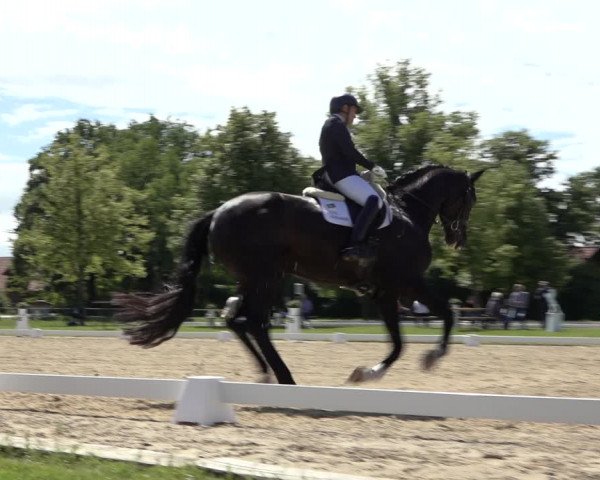 Reitturnier Hille 2022