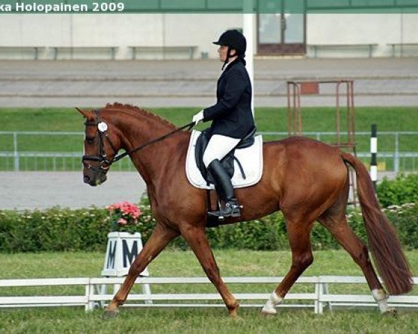 dressage horse His Highlight (Hanoverian, 2004, from His Highness)