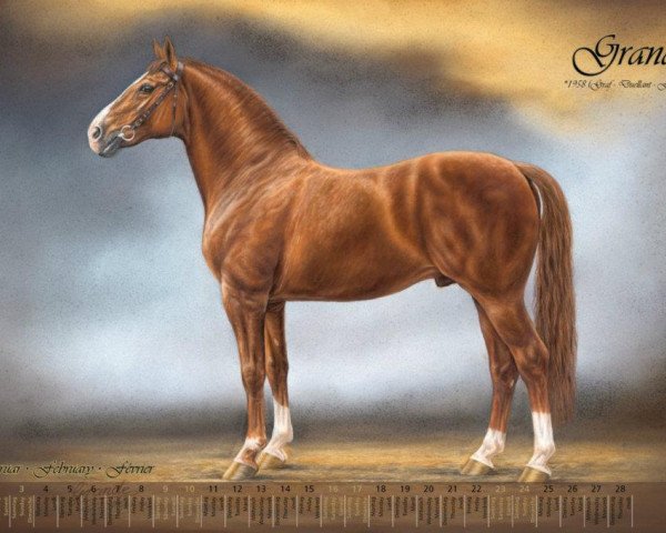 horse Grande (Hanoverian, 1958, from Graf)