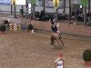 jumper Attila (German Riding Pony, 1995, from Aratoss)