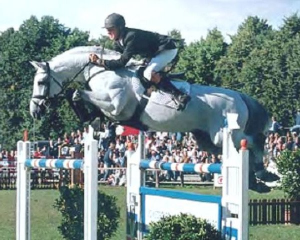 horse Claudio (Holsteiner, 1991, from Carthago)