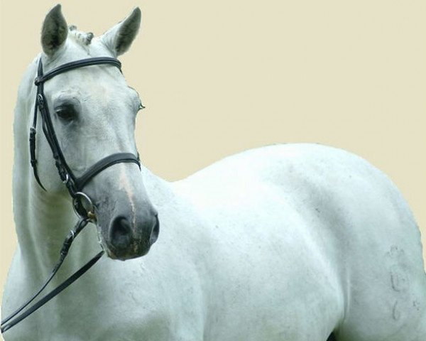 stallion Acobat I (Holsteiner, 1988, from Athlet Z)