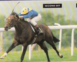 stallion Second Set xx (Thoroughbred, 1988, from Alzao xx)