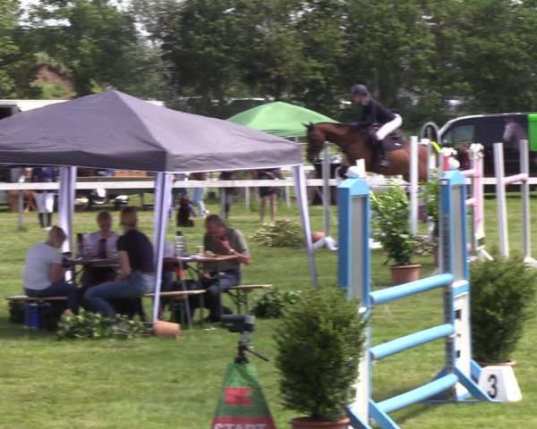 Reitturnier Rendsburg 2022