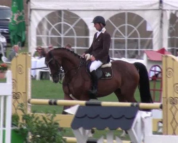 jumper Captain Carl Sparrow (Hanoverian, 2006, from Chalet)