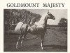 stallion Goldmount Majesty (American Saddlebred Horse, 1963, from Stonewall Sensation)